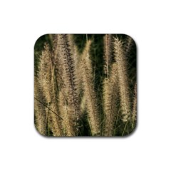 Fountain Grass Under The Sun Rubber Coaster (square) by DimitriosArt