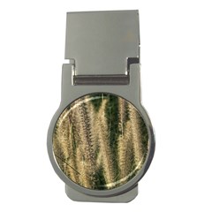 Fountain Grass Under The Sun Money Clips (round) 