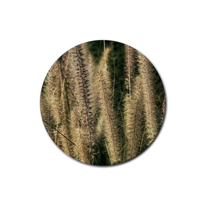 Fountain Grass Under The Sun Rubber Coaster (Round)