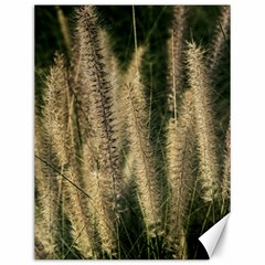 Fountain Grass Under The Sun Canvas 12  X 16  by DimitriosArt