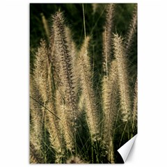 Fountain Grass Under The Sun Canvas 24  X 36  by DimitriosArt