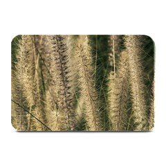 Fountain Grass Under The Sun Plate Mats by DimitriosArt