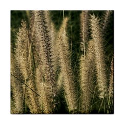 Fountain Grass Under The Sun Face Towel by DimitriosArt