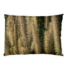 Fountain Grass Under The Sun Pillow Case by DimitriosArt