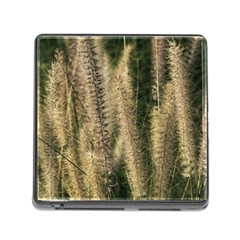 Fountain Grass Under The Sun Memory Card Reader (square 5 Slot) by DimitriosArt