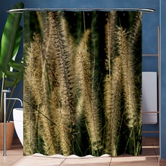 Fountain Grass Under The Sun Shower Curtain 60  X 72  (medium)  by DimitriosArt