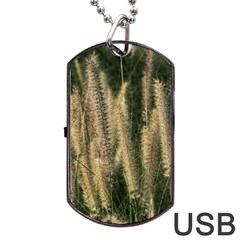 Fountain Grass Under The Sun Dog Tag Usb Flash (two Sides) by DimitriosArt