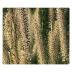 Fountain Grass Under The Sun Double Sided Flano Blanket (small)  by DimitriosArt