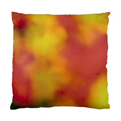 Flower Abstract Standard Cushion Case (one Side) by DimitriosArt