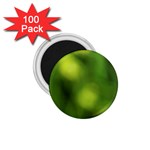 Green Vibrant Abstract No3 1.75  Magnets (100 pack)  Front