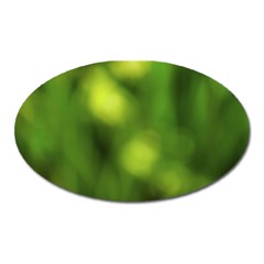 Green Vibrant Abstract No3 Oval Magnet by DimitriosArt