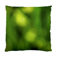 Green Vibrant Abstract No3 Standard Cushion Case (two Sides) by DimitriosArt