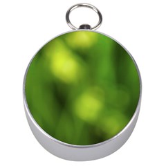 Green Vibrant Abstract No3 Silver Compasses