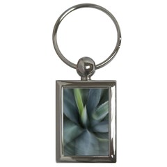 The Agave Heart In Motion Key Chain (rectangle) by DimitriosArt