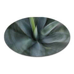 The Agave Heart In Motion Oval Magnet by DimitriosArt