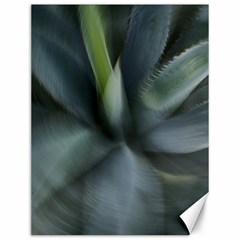 The Agave Heart In Motion Canvas 12  X 16  by DimitriosArt