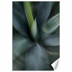 The Agave Heart In Motion Canvas 12  X 18  by DimitriosArt