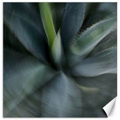 The Agave Heart In Motion Canvas 20  X 20  by DimitriosArt