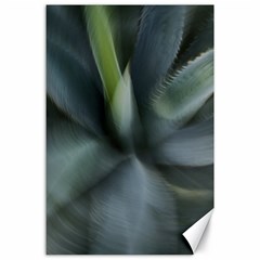 The Agave Heart In Motion Canvas 24  X 36  by DimitriosArt