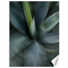 The Agave Heart In Motion Canvas 36  X 48  by DimitriosArt