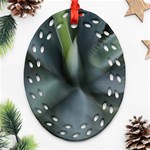 The Agave Heart In Motion Ornament (Oval Filigree) Front