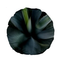 The Agave Heart In Motion Standard 15  Premium Round Cushions by DimitriosArt