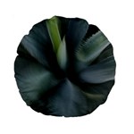 The Agave Heart In Motion Standard 15  Premium Round Cushions Front