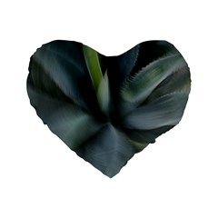 The Agave Heart In Motion Standard 16  Premium Heart Shape Cushions by DimitriosArt