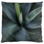 The Agave Heart In Motion Standard Flano Cushion Case (Two Sides) Back