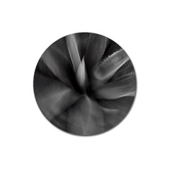 Black Agave Heart In Motion Magnet 3  (round) by DimitriosArt