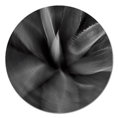 Black Agave Heart In Motion Magnet 5  (round) by DimitriosArt