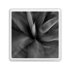 Black Agave Heart In Motion Memory Card Reader (square) by DimitriosArt