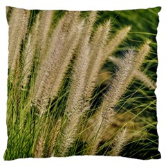 Under The Warm Sun Large Cushion Case (one Side) by DimitriosArt