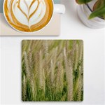 Under The Warm Sun No3 UV Print Square Tile Coaster  Front