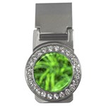 Green Abstract Stars Money Clips (CZ)  Front