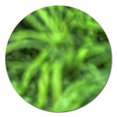 Green Abstract Stars Magnet 5  (round) by DimitriosArt