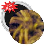 Yellow Abstract Stars 3  Magnets (100 pack) Front