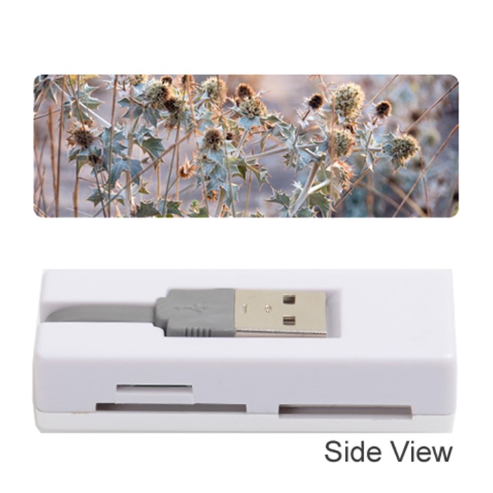 Spikes On The Sun Memory Card Reader (Stick)