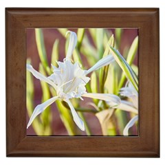 Stars On The Sand Framed Tile by DimitriosArt