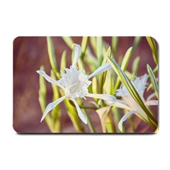 Stars On The Sand Small Doormat  by DimitriosArt