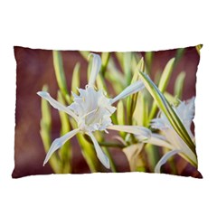 Stars On The Sand Pillow Case by DimitriosArt