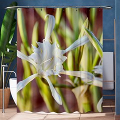 Stars On The Sand Shower Curtain 60  X 72  (medium)  by DimitriosArt