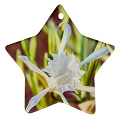 The Little Star On The Sand Star Ornament (two Sides) by DimitriosArt