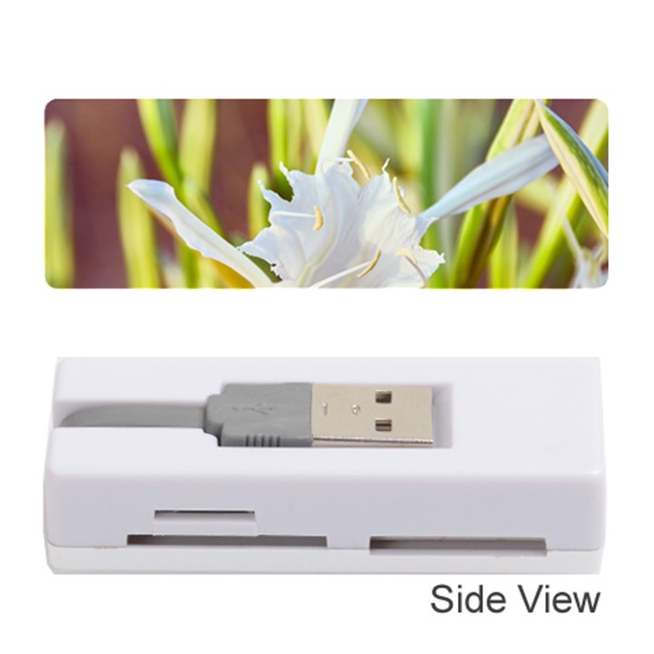 The Little Star On The Sand Memory Card Reader (Stick)