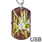 The Little Star On The Sand Dog Tag USB Flash (One Side) Front