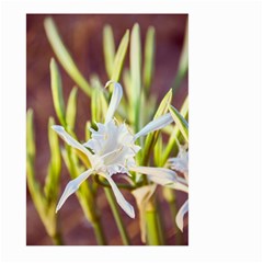 The Little Star On The Sand Large Garden Flag (two Sides) by DimitriosArt