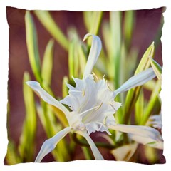 The Little Star On The Sand Large Cushion Case (one Side) by DimitriosArt