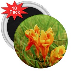 Orange On The Green 3  Magnets (10 Pack)  by DimitriosArt