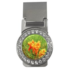 Orange On The Green Money Clips (cz)  by DimitriosArt