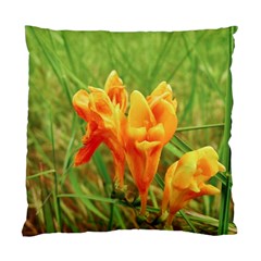 Orange On The Green Standard Cushion Case (two Sides) by DimitriosArt